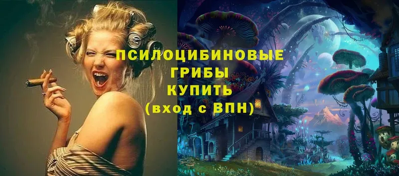 где купить   Мензелинск  Галлюциногенные грибы Psilocybe 